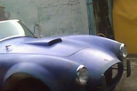 Cobra 